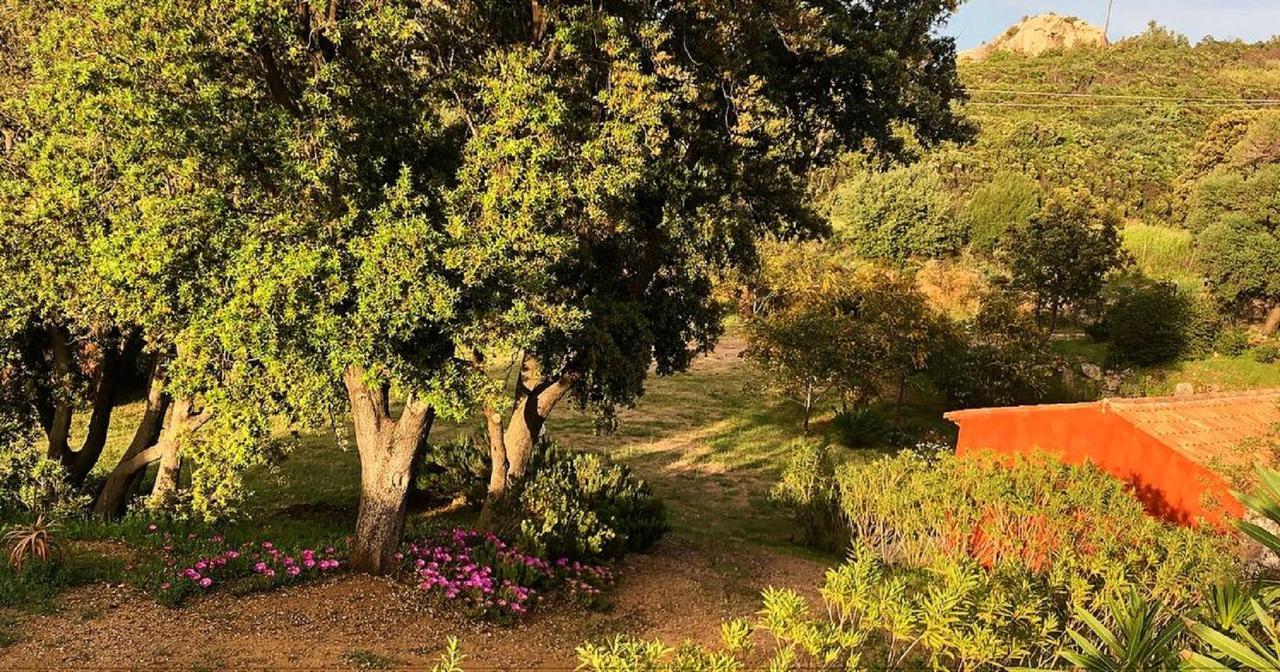 Farm Stay Gli Oleandri Loiri Porto San Paolo Exterior foto